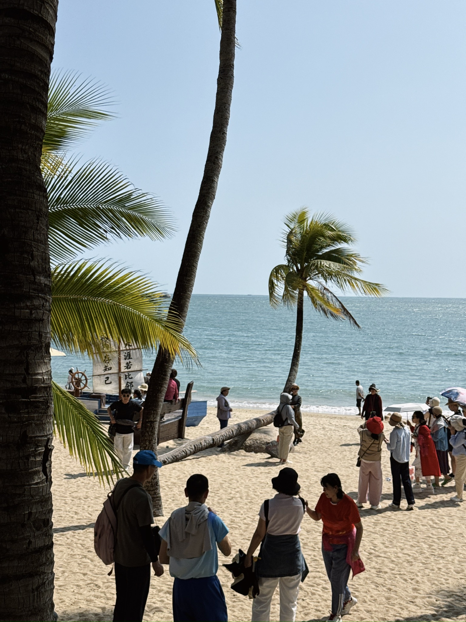 做一棵椰子树，如果不挺直腰杆的话，就可能会被当做拍摄的景点。