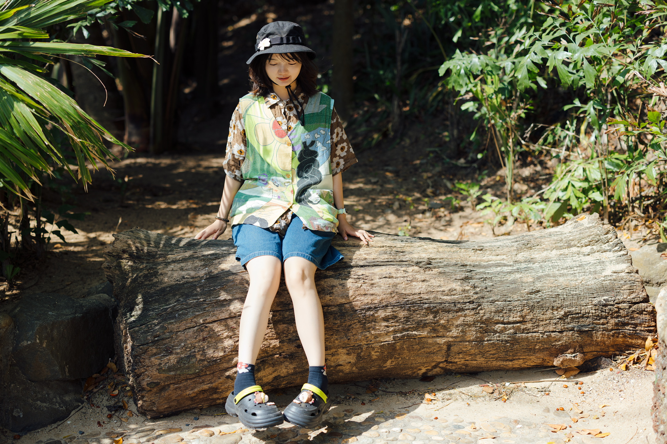 又遇到了倒下的断木，上次乘坐短木还是在西双版纳热带雨林植物园