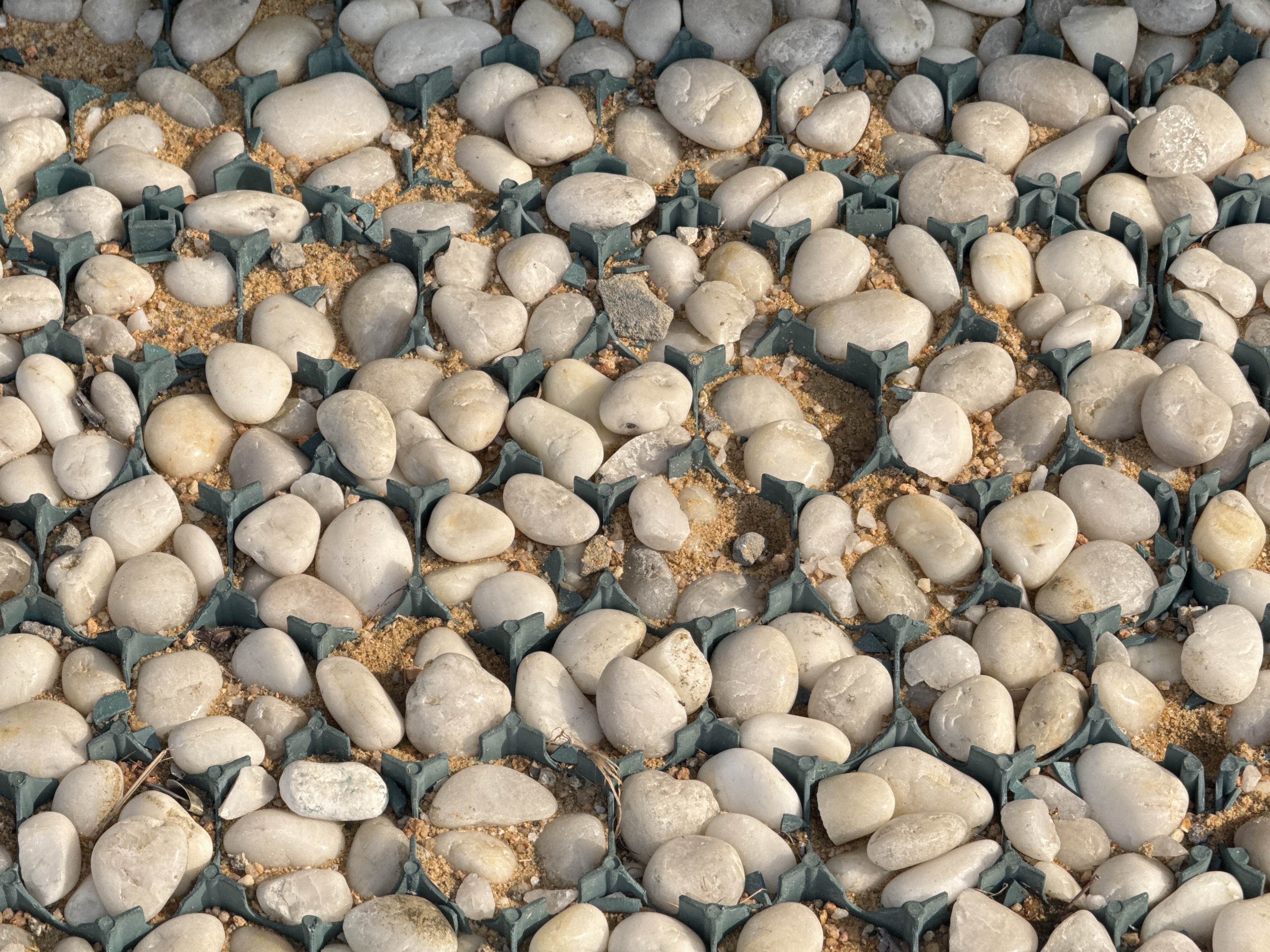 都是圆润洁白的大块头，不过均有伤痕