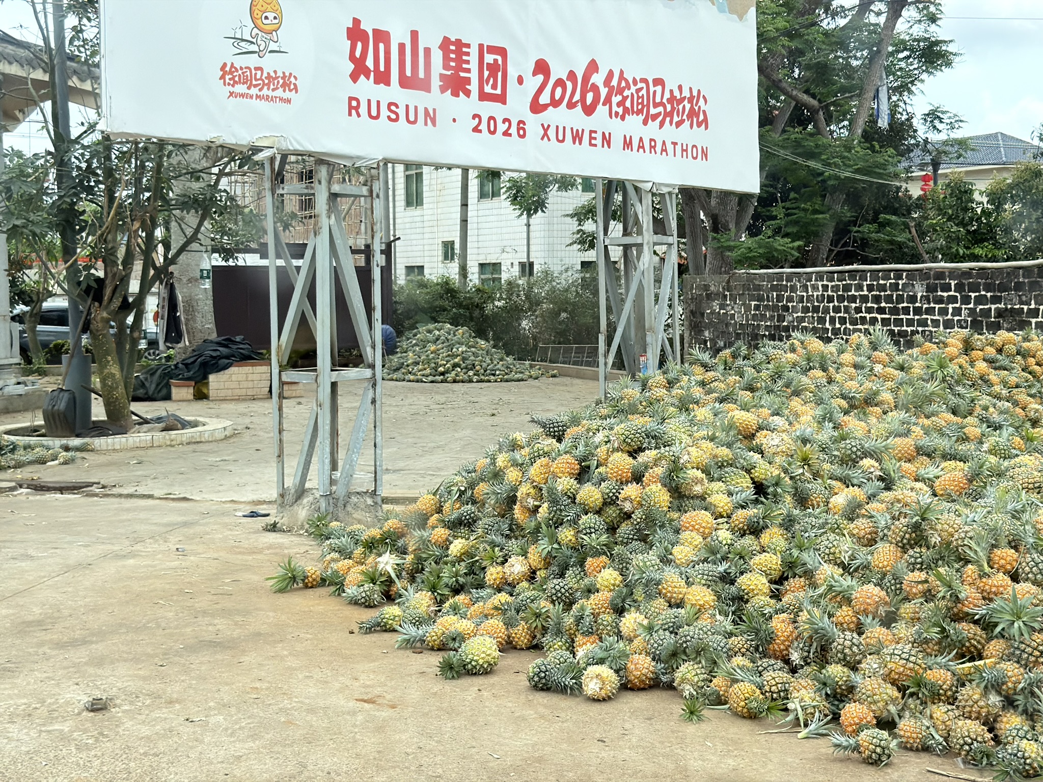 来的路上，马路边的菠萝集散中心