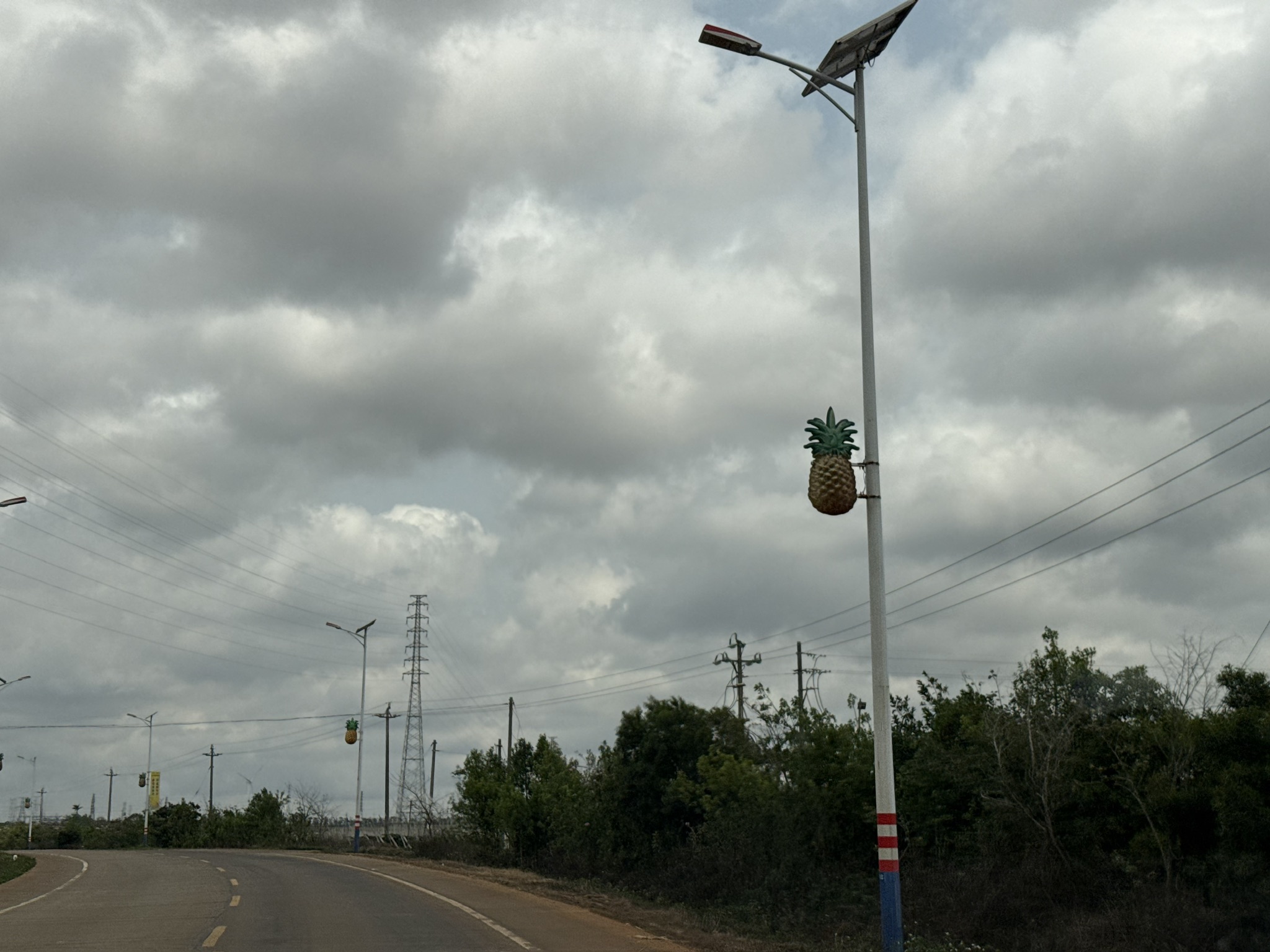 路灯上的菠萝装饰