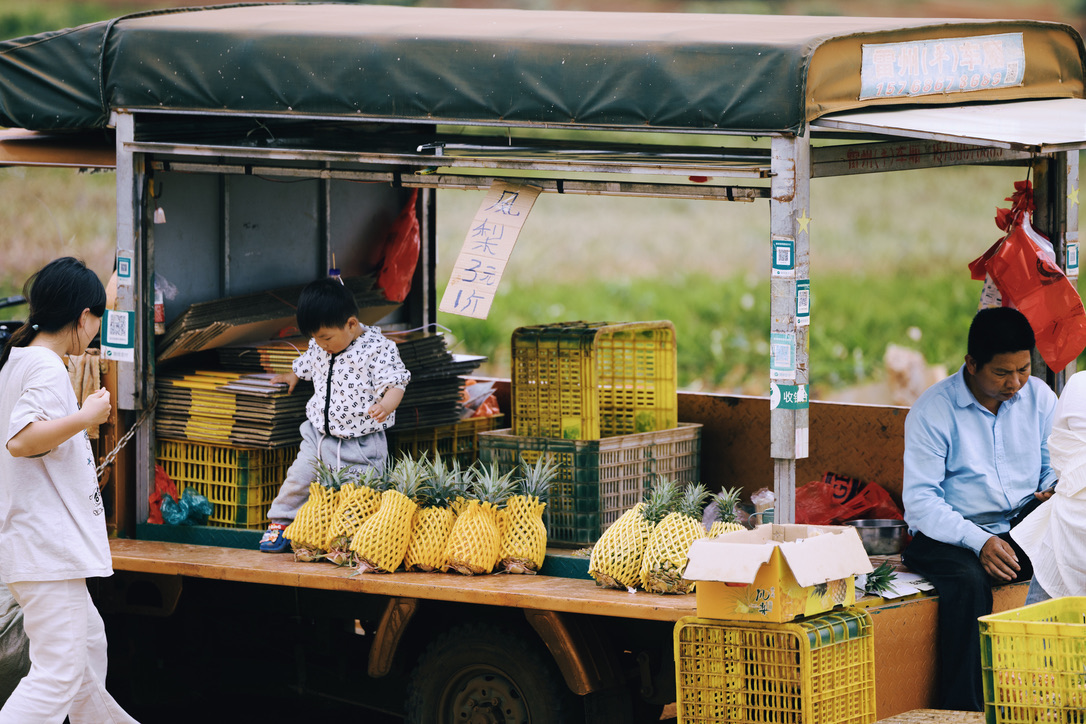 三元一斤的凤梨