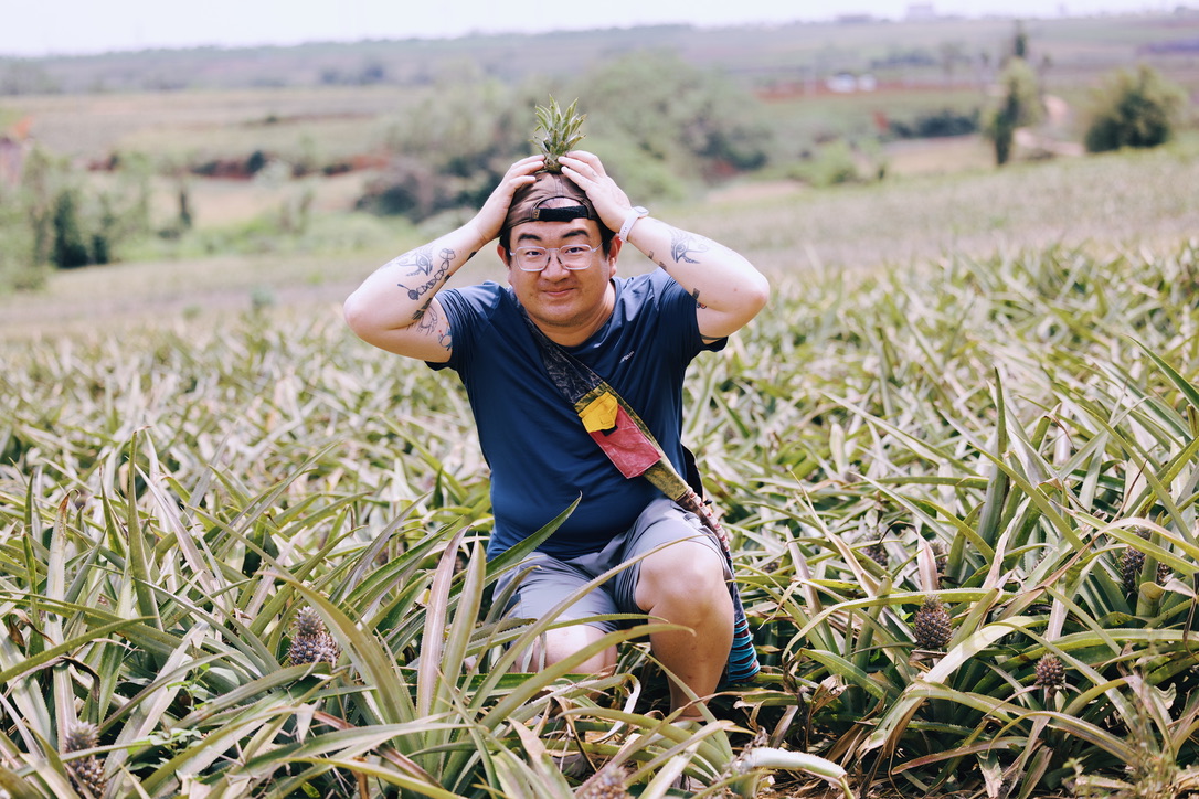 地上有别人吃剩的菠萝头，被我们捡起来顶在头上，蹲在菠萝地里，我也变成了一株菠萝