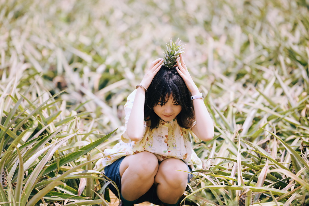 这是我的菠萝女友