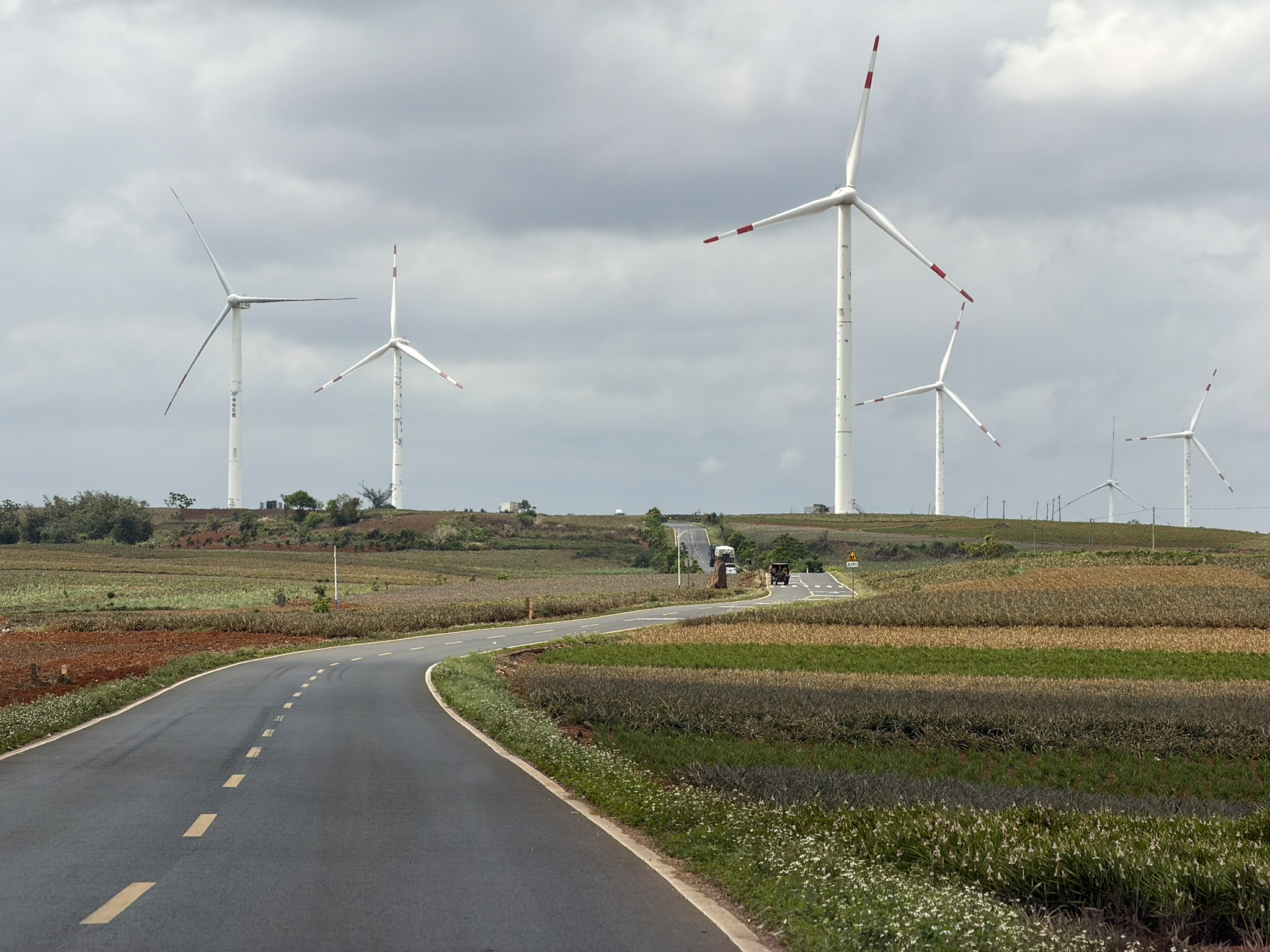 上次这样美丽的风景，还是在内蒙古