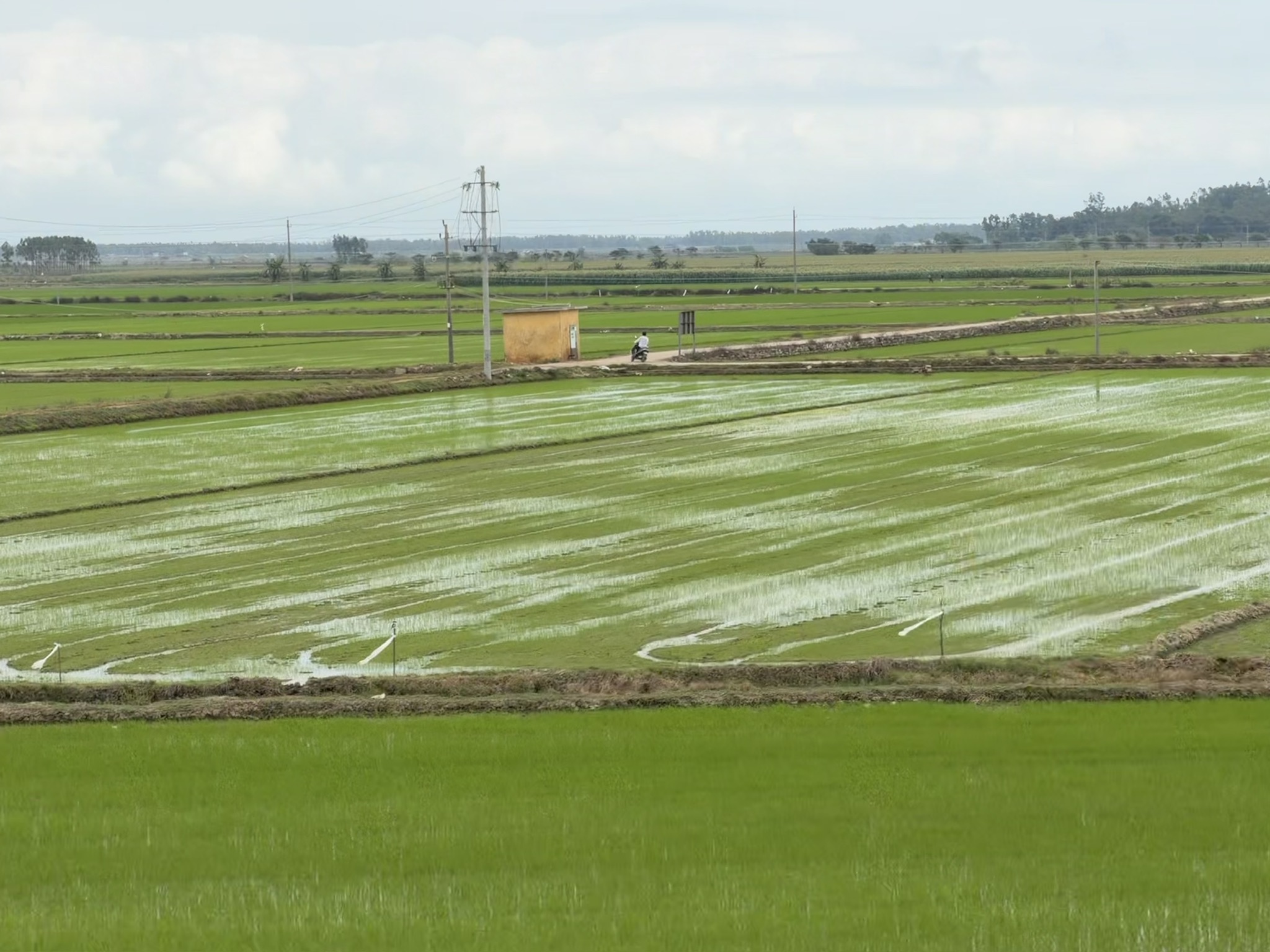 绿得人心旷神怡
