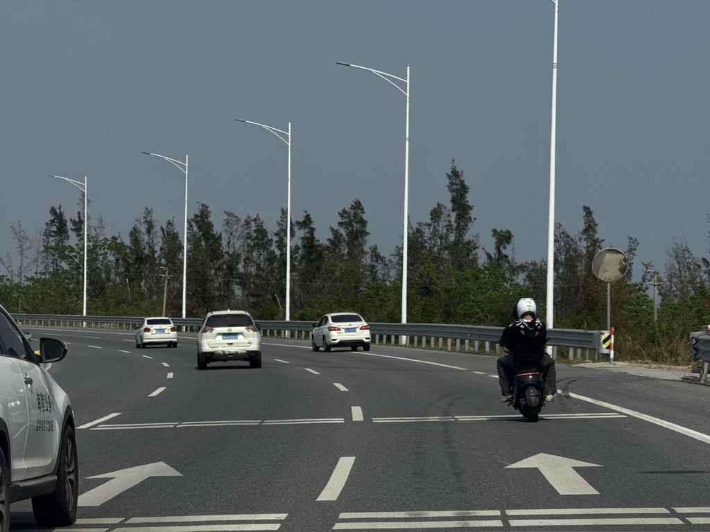 这电摩好厉害,比所有汽车都快
