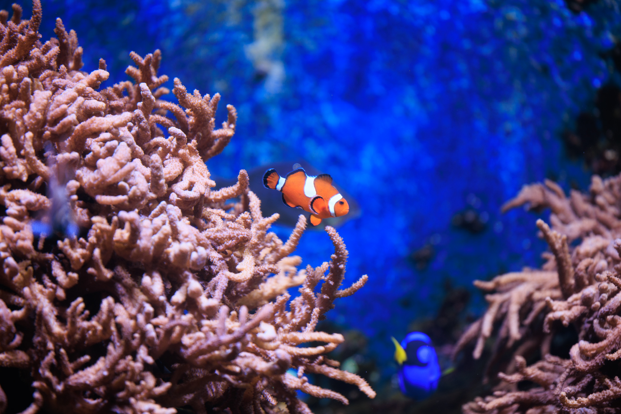 又是你,多拍几张