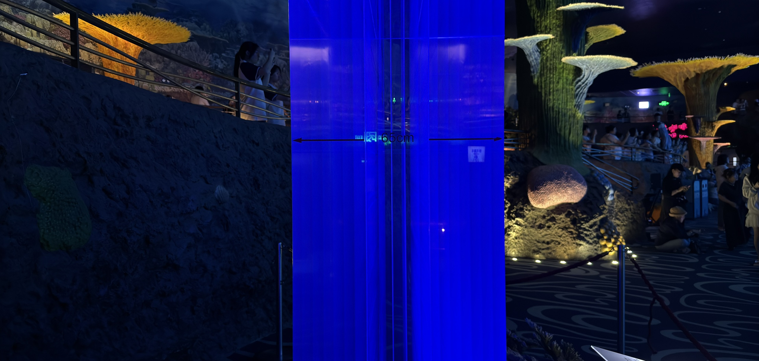 厚达 66cm 的亚克力就是这个水族箱的材料