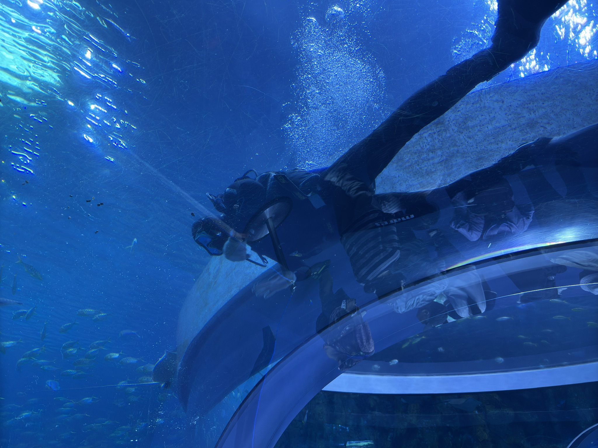 擦玻璃的潜水员