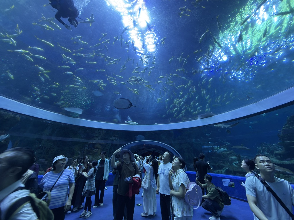 大水箱下面的隧道