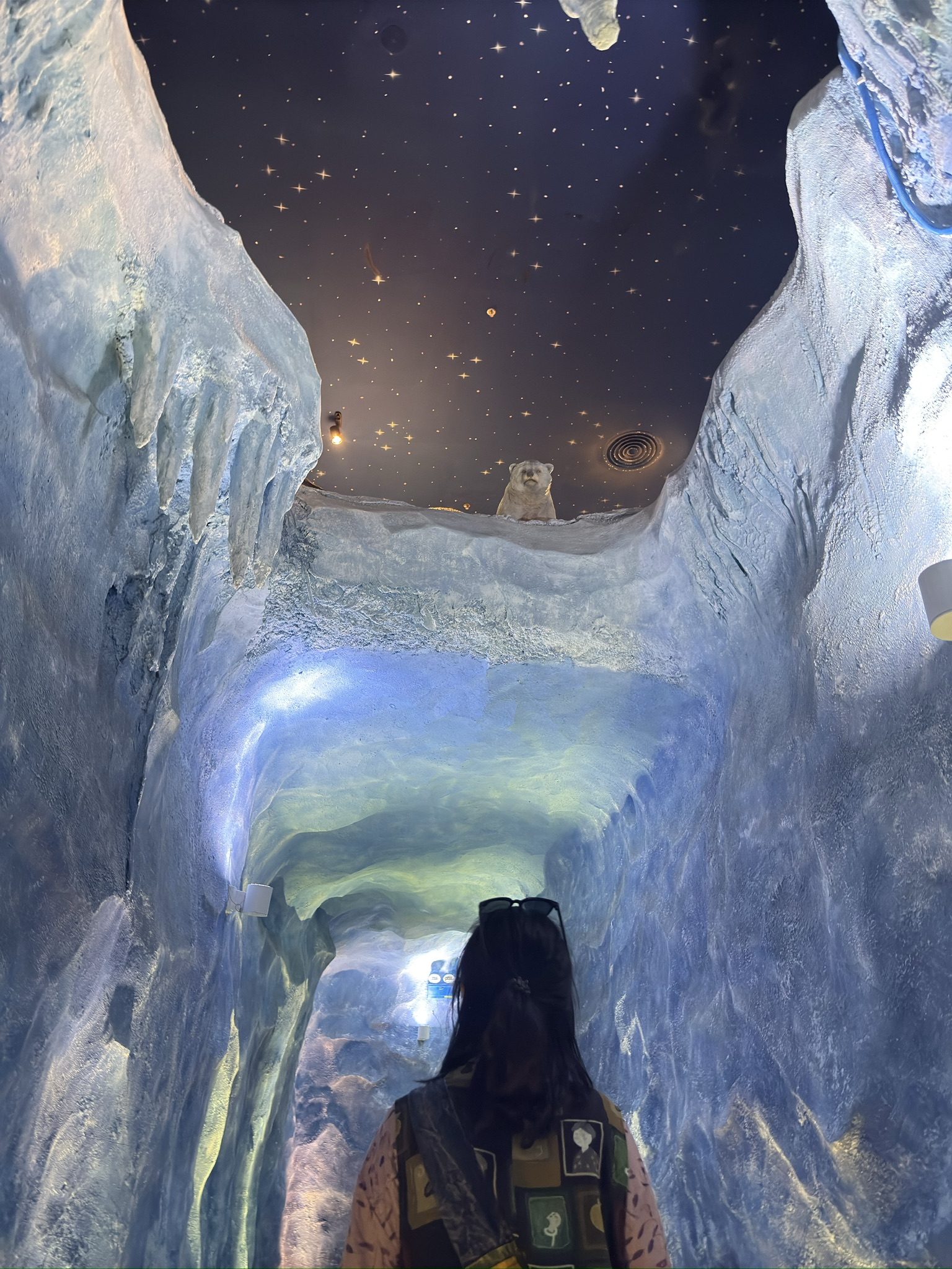 这里的室内布景也蛮有趣的,通过雪洞看我们的小北极熊