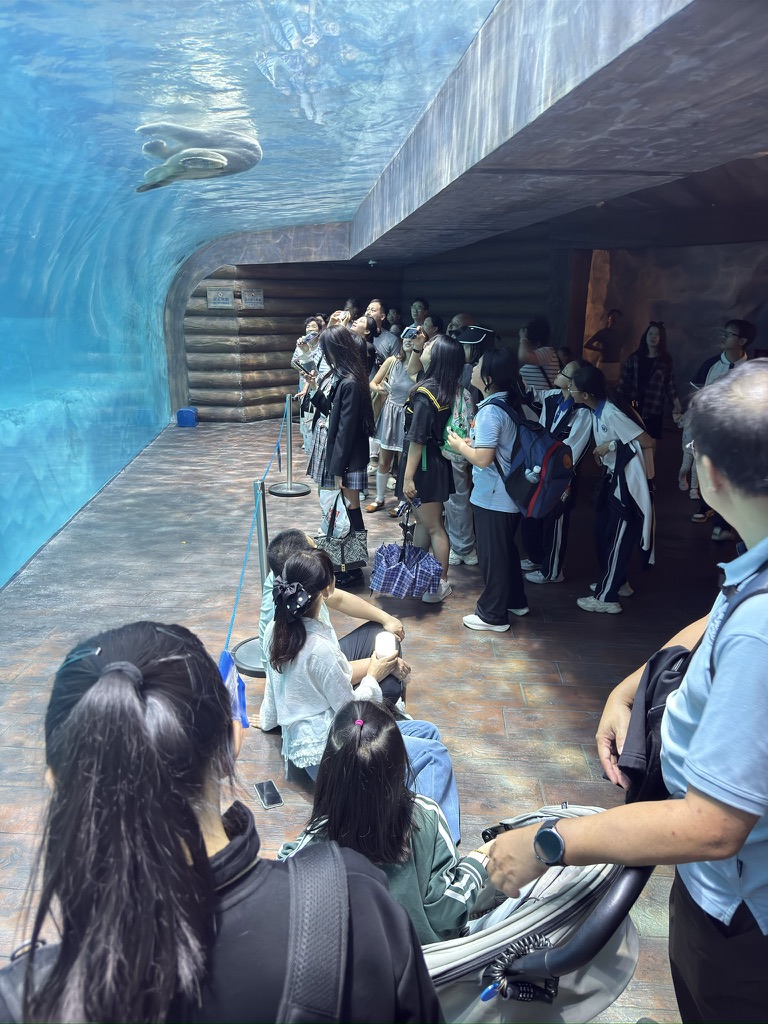 水下的构造是这样的