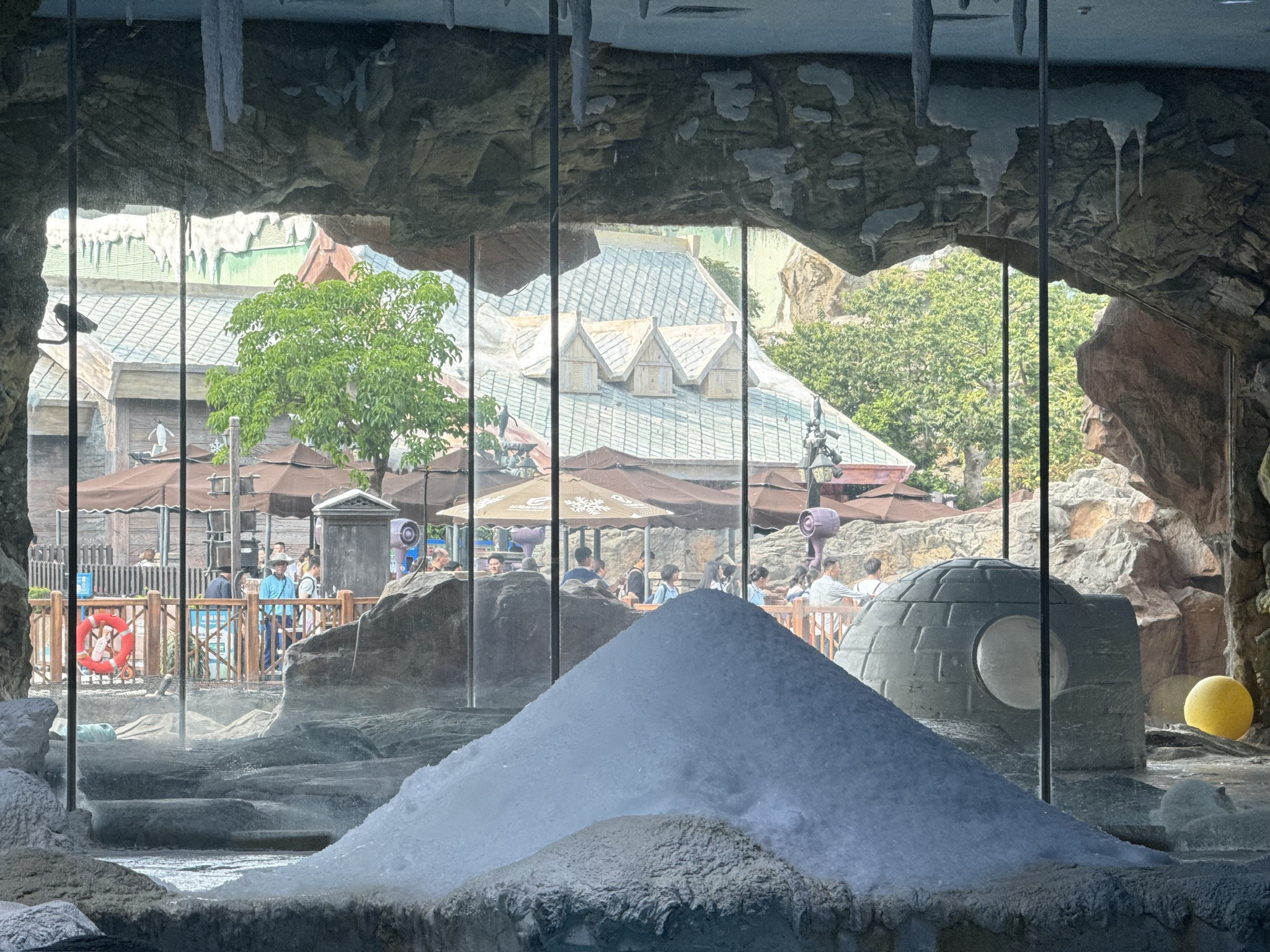 北极熊房间屋顶有一个刨冰机一直在刨冰,落下来的冰沙堆成了厚厚的一个小冰山