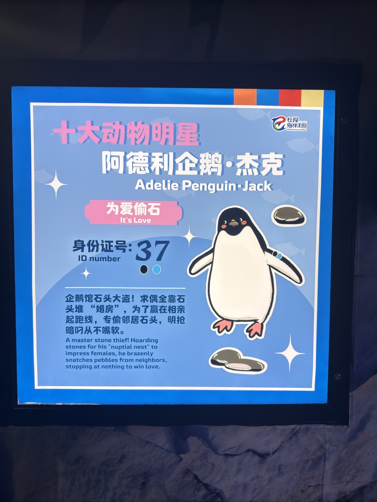 这是老演员了,所以身份证还是两位的