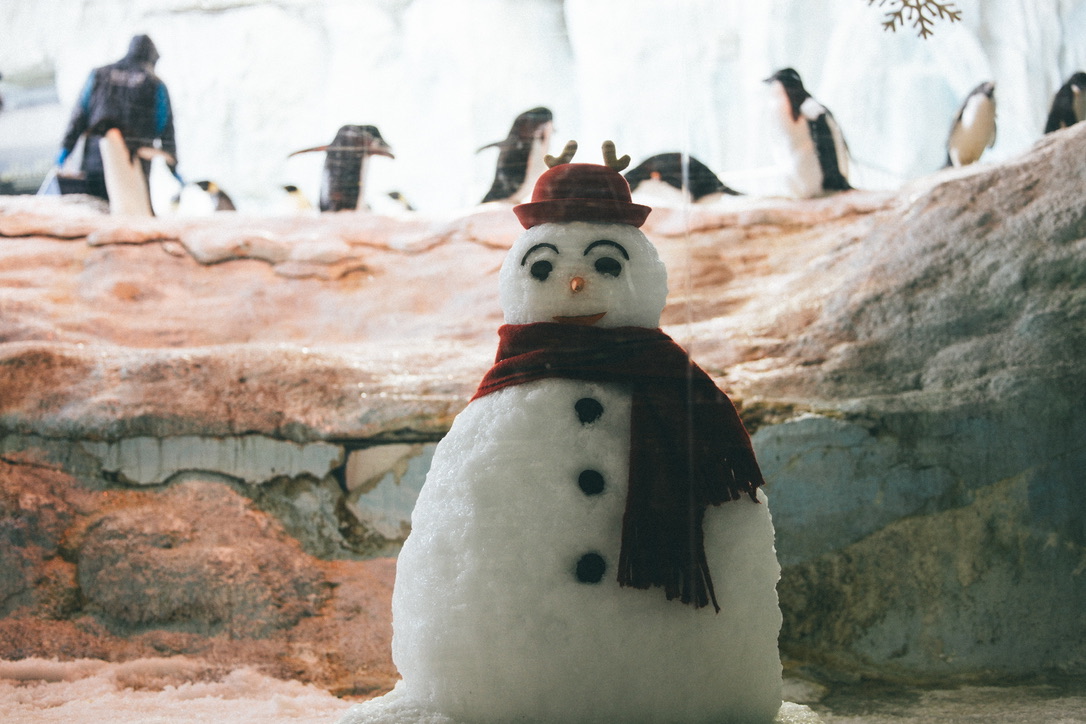 企鹅闲着也是闲着,在这里堆个雪人吧
