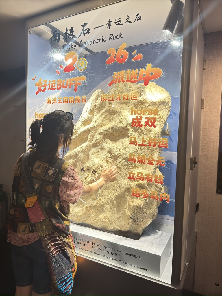 从南极运回来的石头