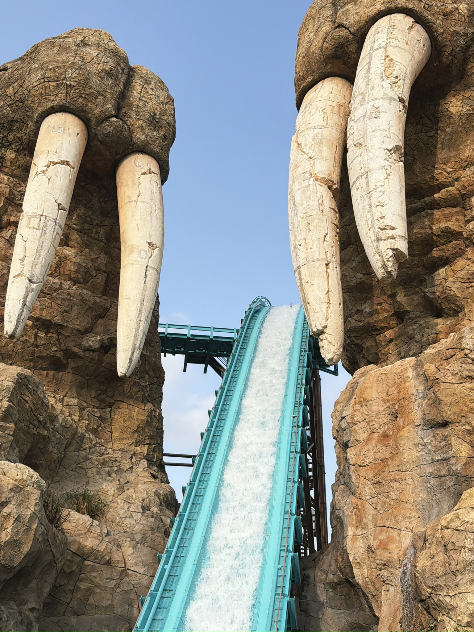 夹在两只山一样的海象之间