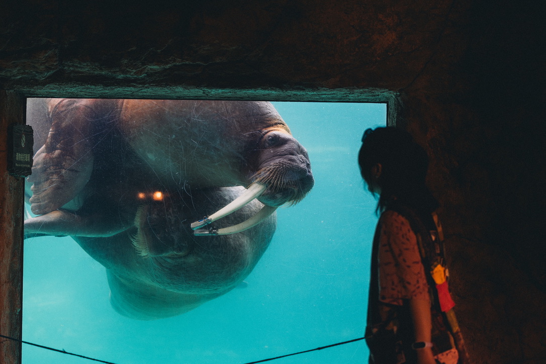 它俩竟然抱在了一起