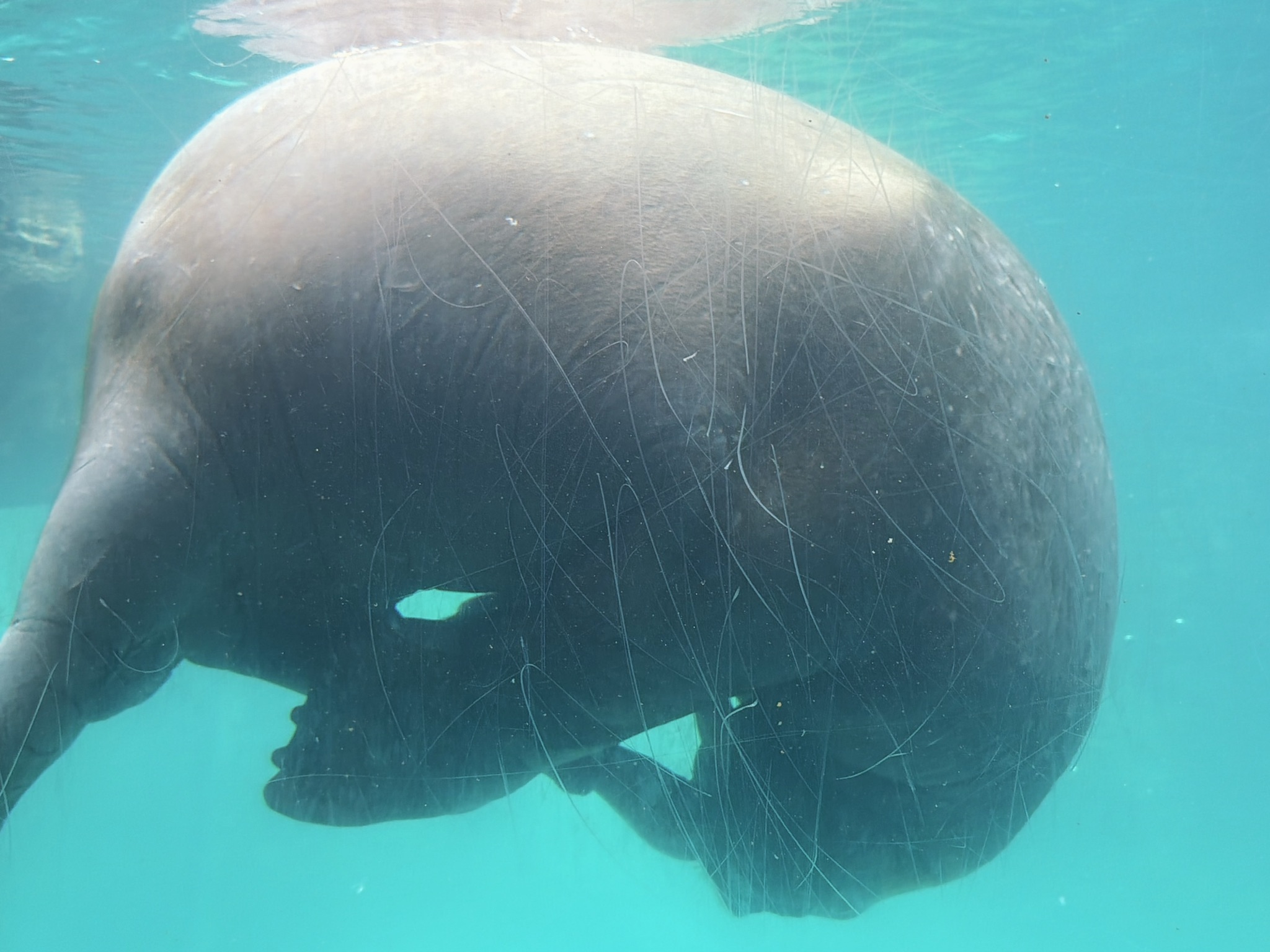 它在做不可描述的事情