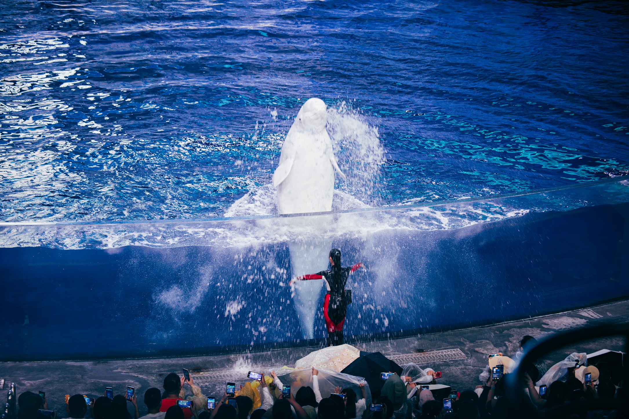 第一排的特权——被喷水