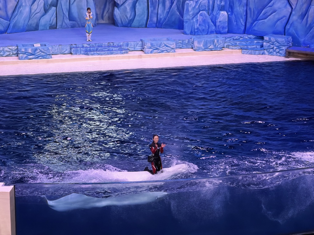 这个海洋载具可太帅了