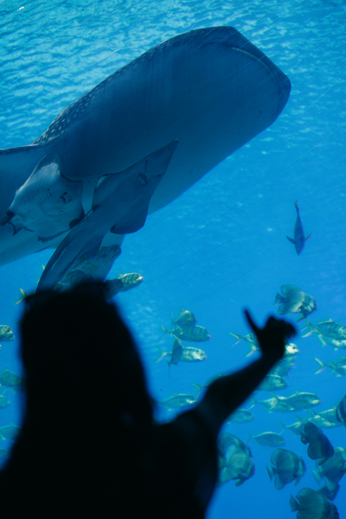 不说以为你们三个是一个组合