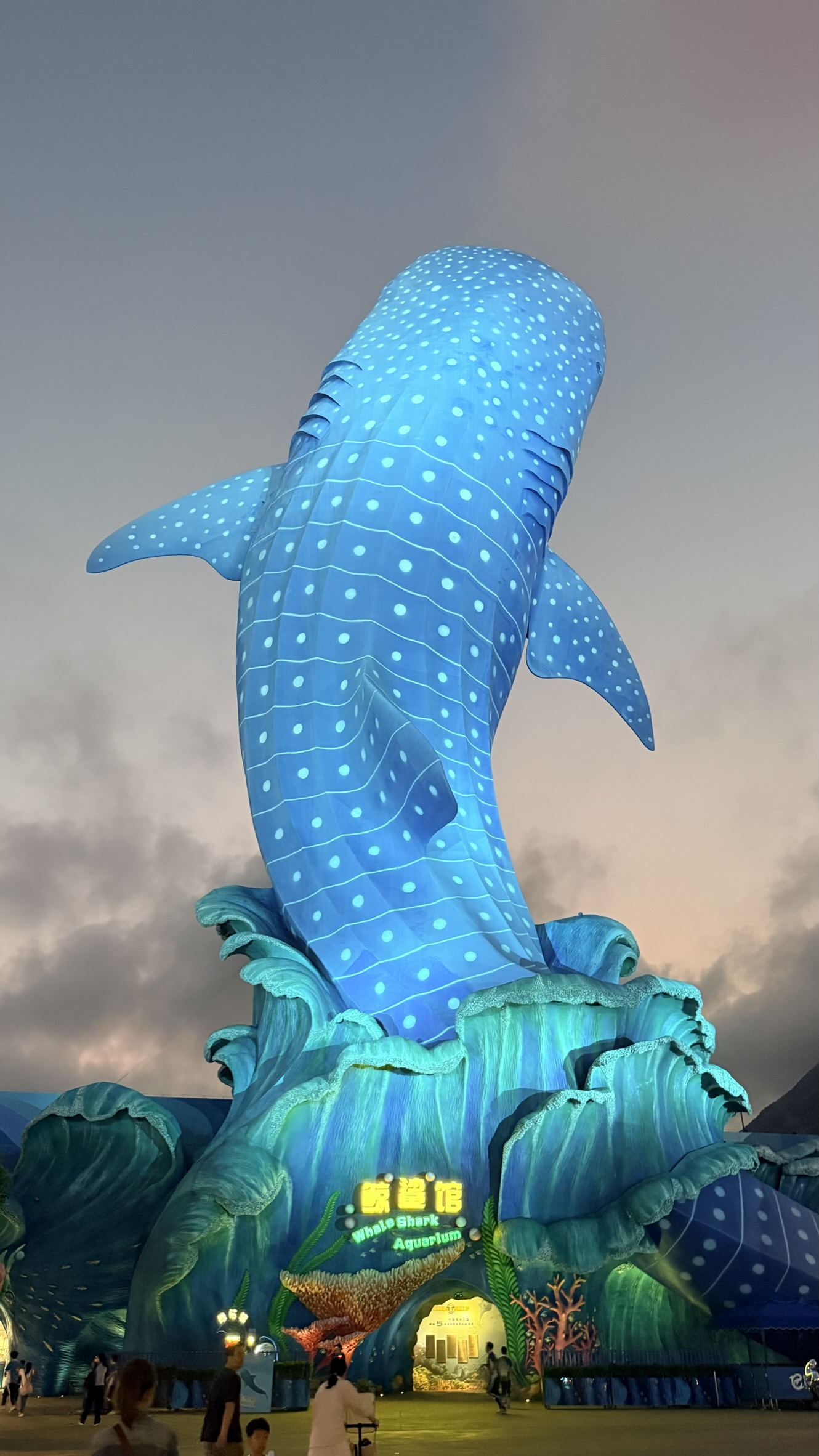 亮起来的鲸鲨馆