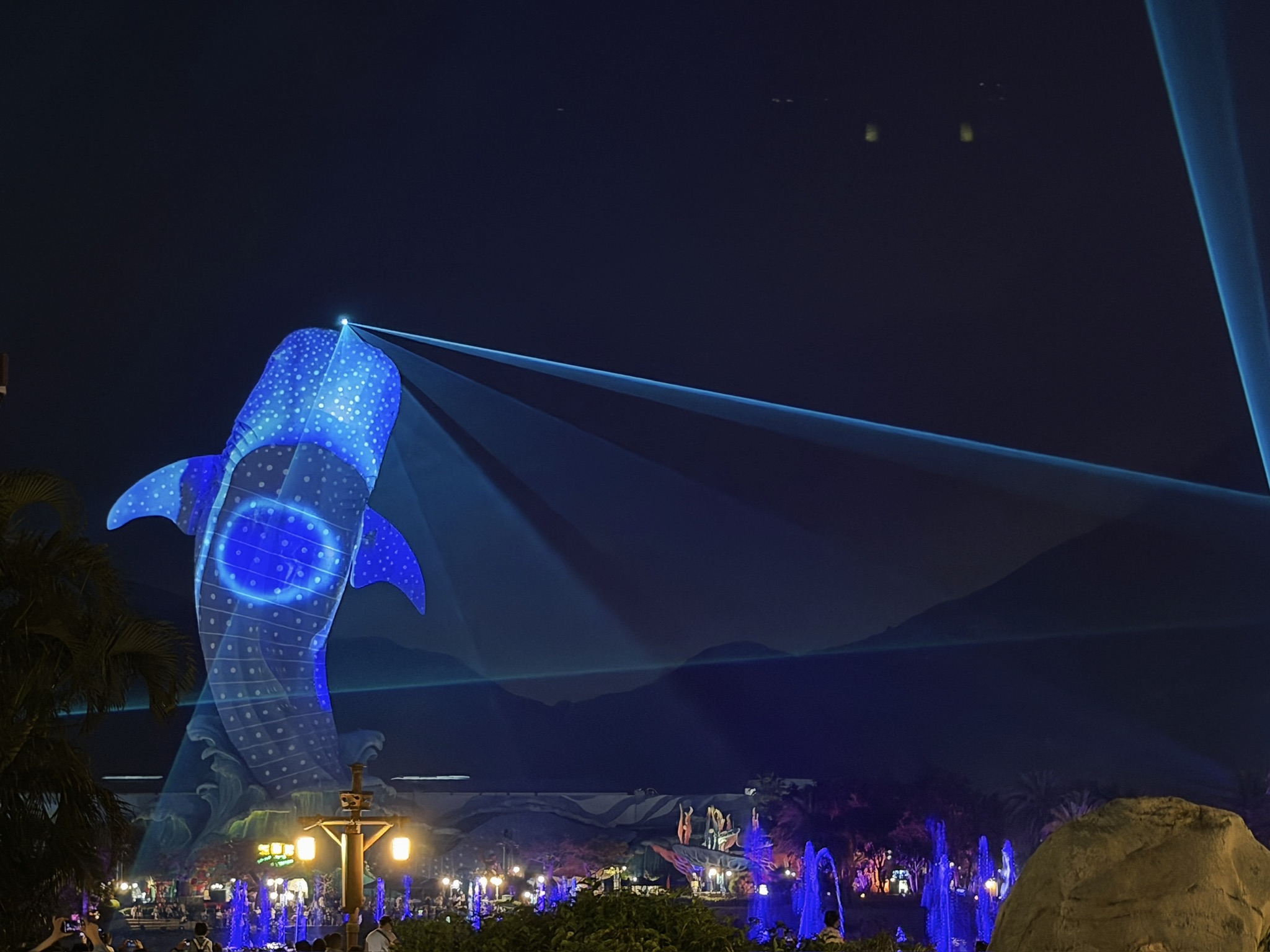 鲸鲨头顶的激光射灯