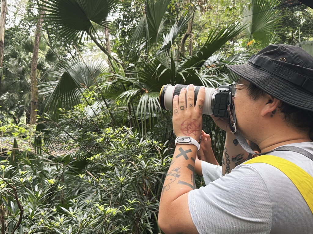 为了今天，带上了大长焦