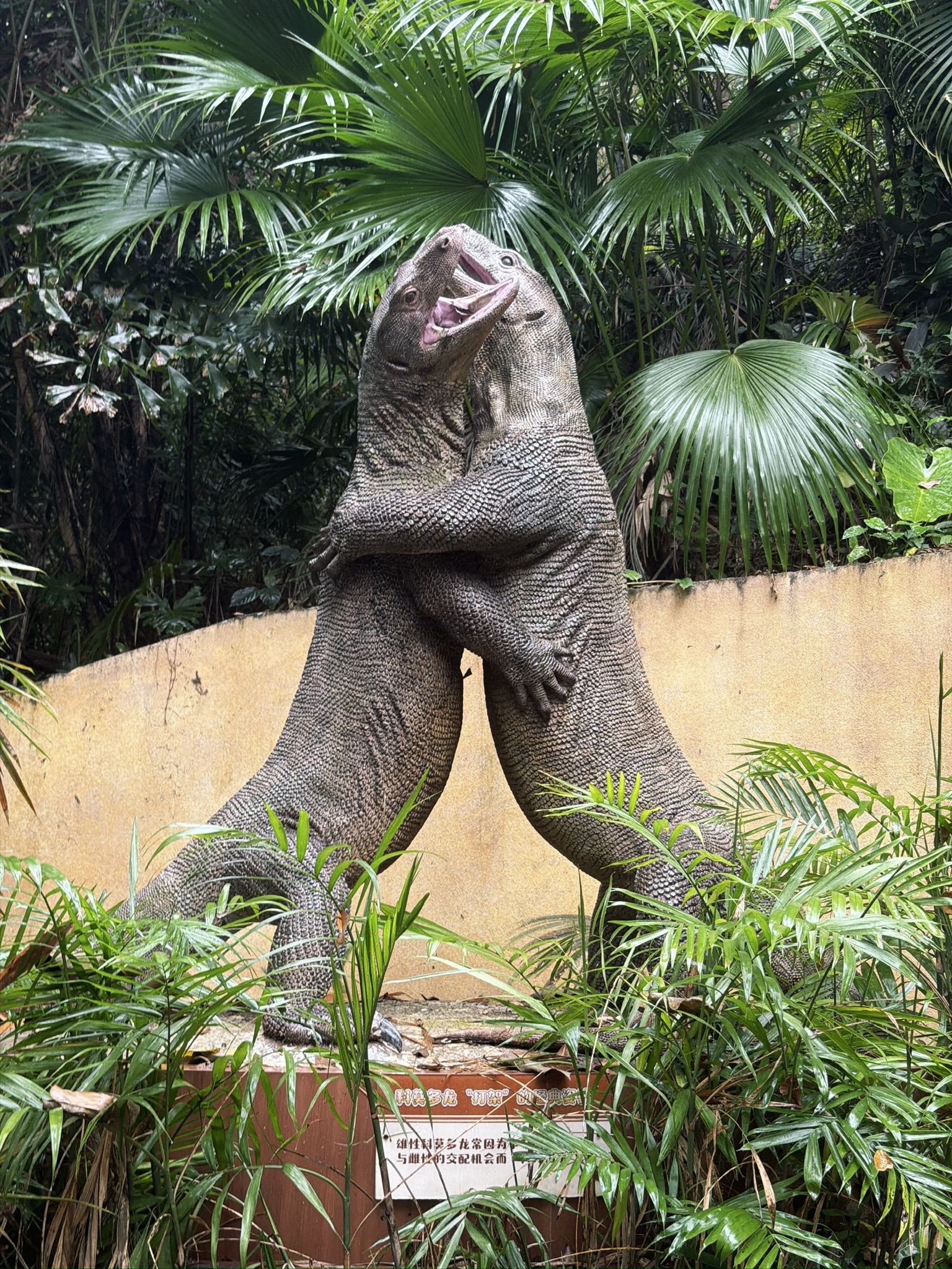 门口有两只科莫多蜥蜴打架的雕塑，看着 gay 里 gay 气的