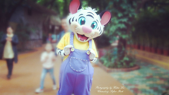 白虎卡卡（网图）