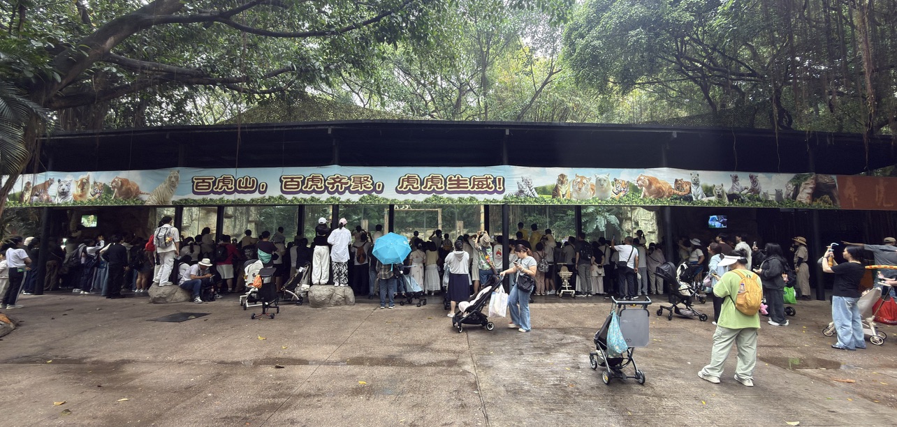 配得上工作日的人气