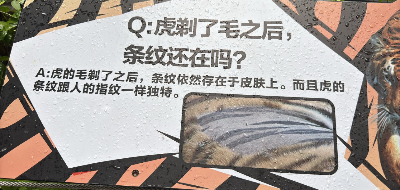 这个知识很有趣呀