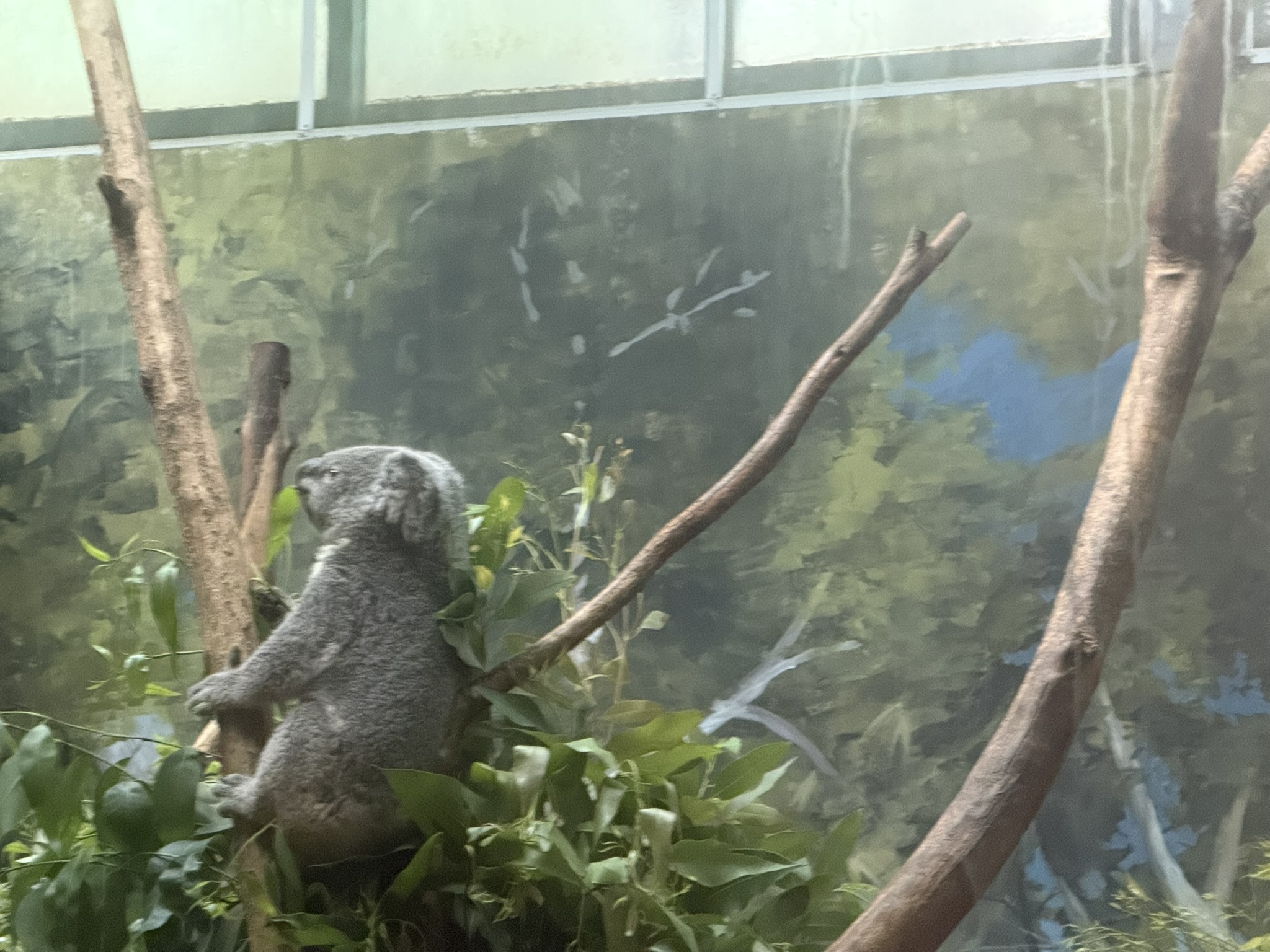 背景都是假树也不在意