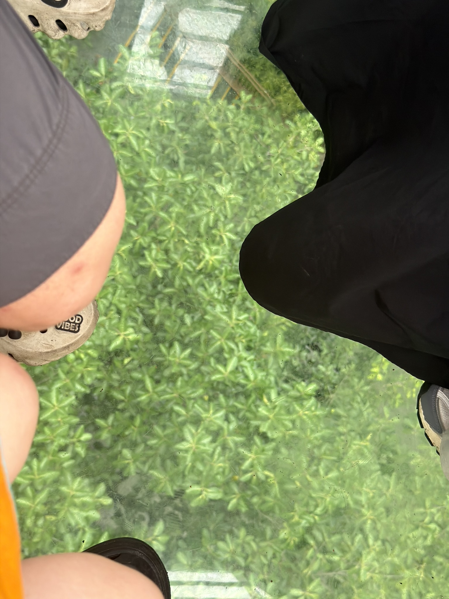 透明的地面大概是这个样子