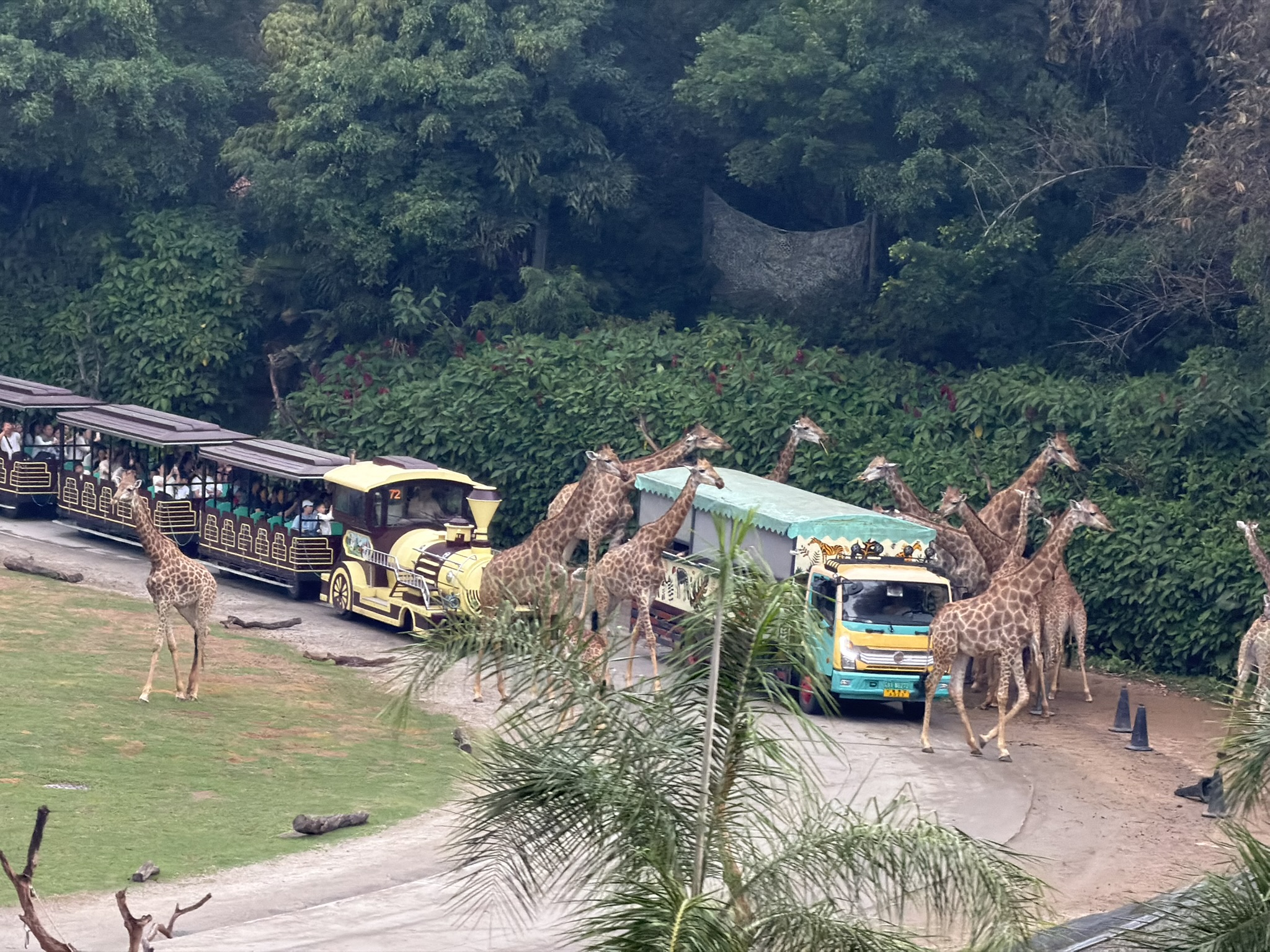 经过了最初我们坐小火车的区域