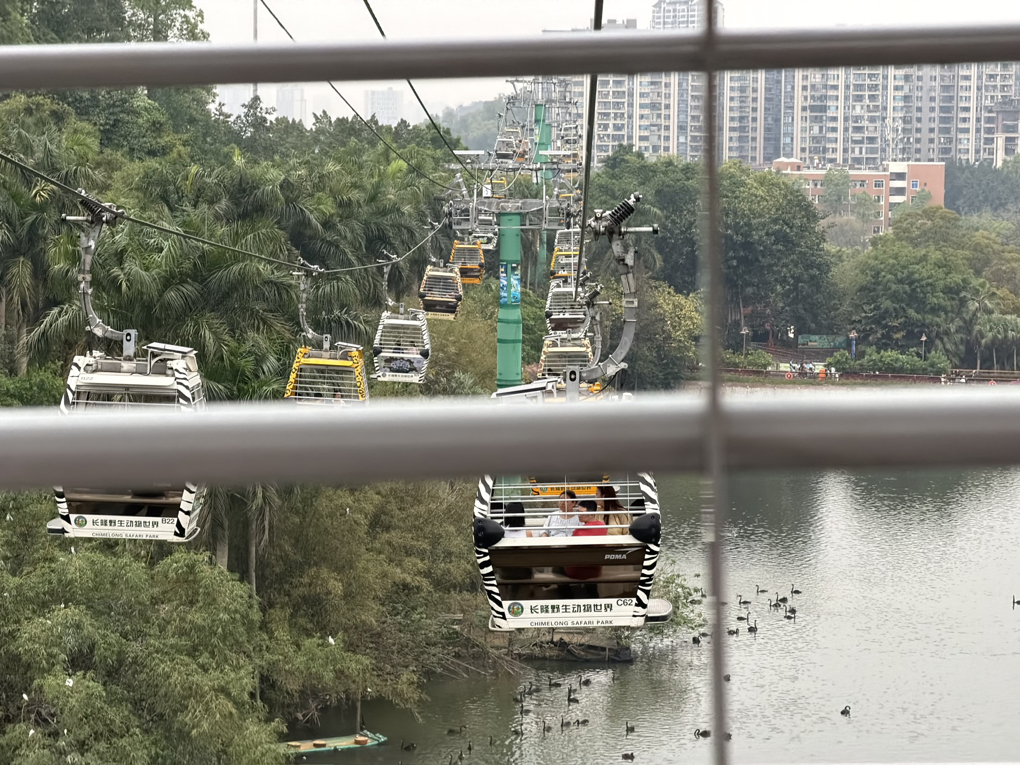 这个观光缆车的轿厢密度比一般的缆车要密得多