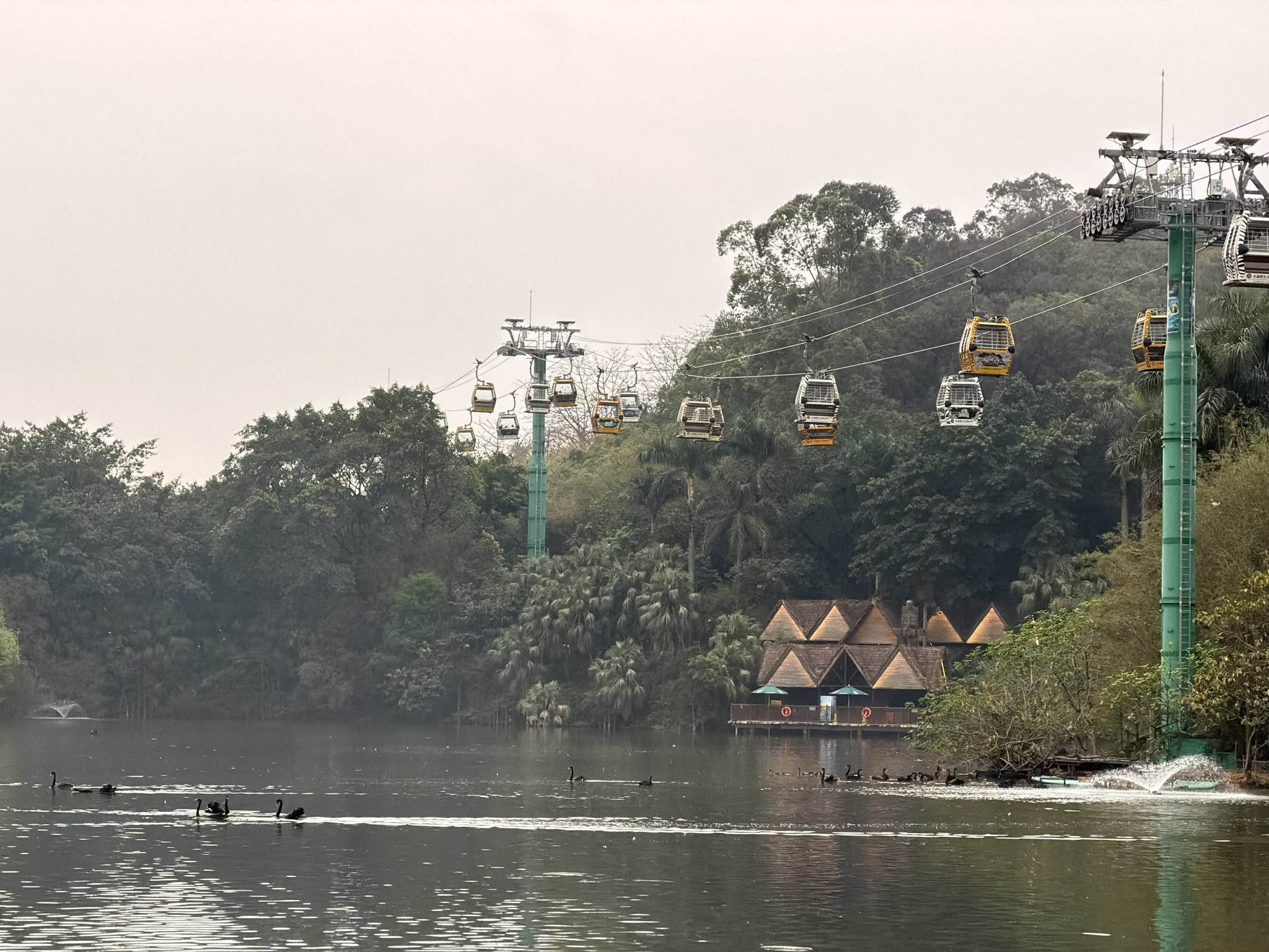 天鹅湖上的缆车