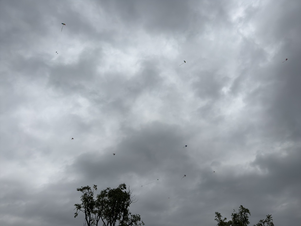阴天之下,全是风筝