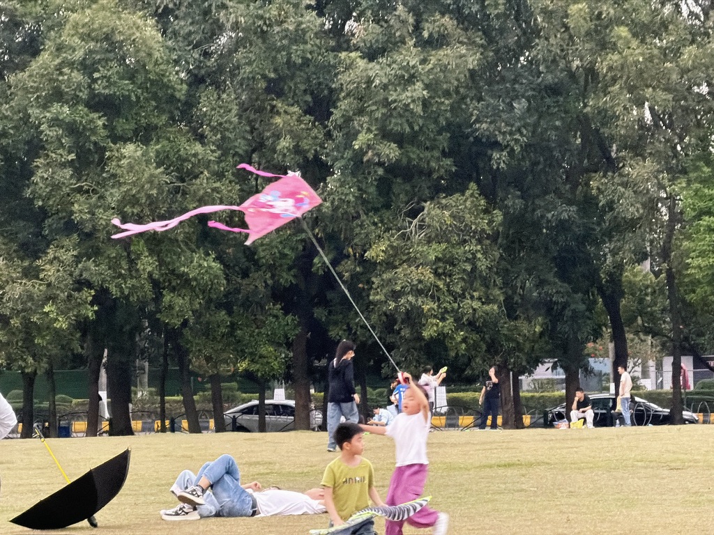 逛出来小孩子们还在放风筝