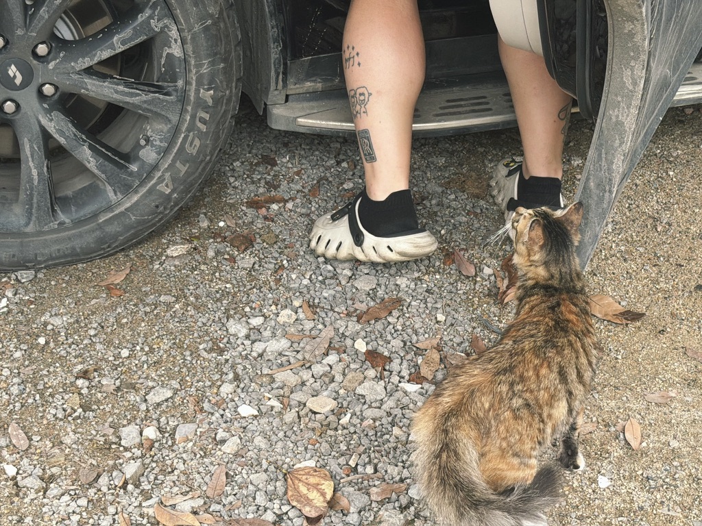 找了半天也妹找到吃的