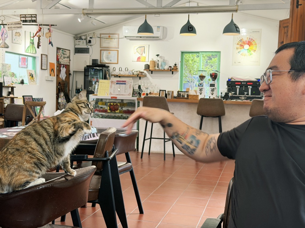 和猫猫对挠的毛毛