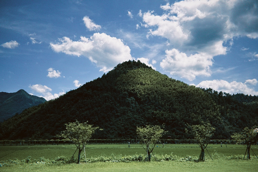 蜜蜂友好村
